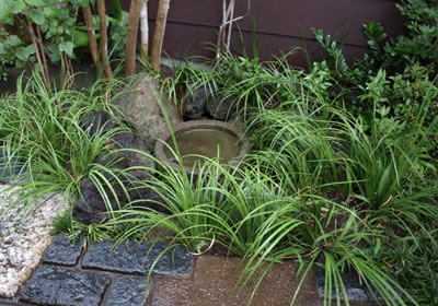 自然を家の中に取り入る